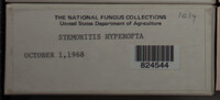 Image Associated With the Occurence